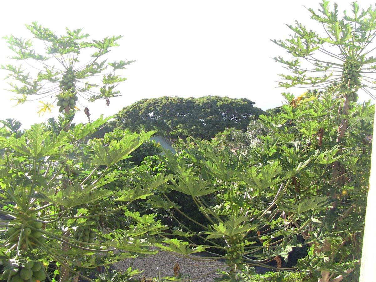 Kona Hawaii Guest House A Unique Hawaii Experience Keauhou Екстер'єр фото