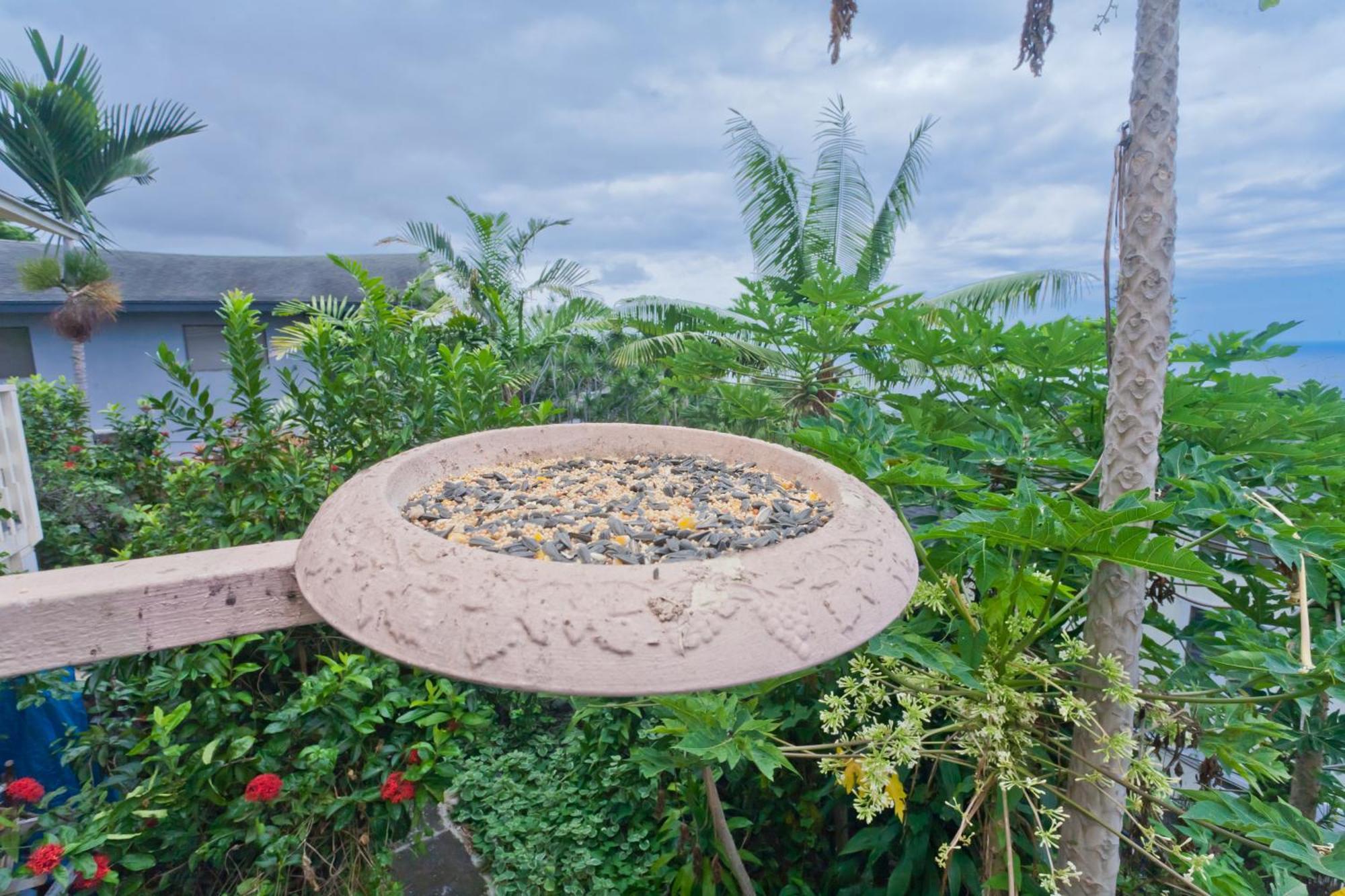 Kona Hawaii Guest House A Unique Hawaii Experience Keauhou Екстер'єр фото